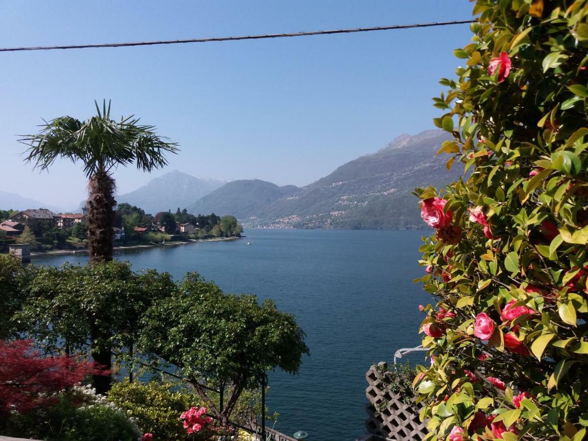 Villa Plinio Lago Di Como Дервіо Екстер'єр фото