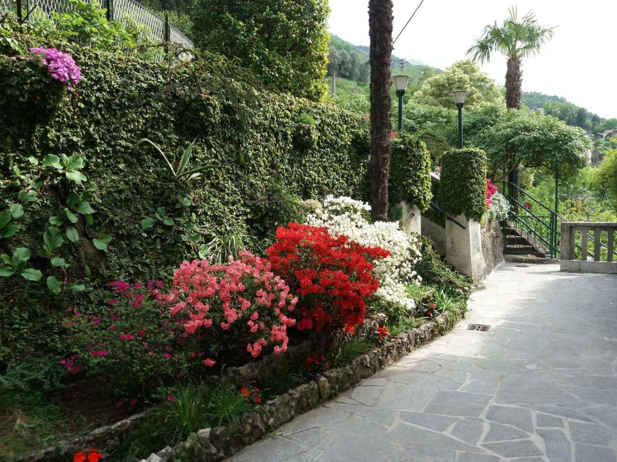 Villa Plinio Lago Di Como Дервіо Екстер'єр фото